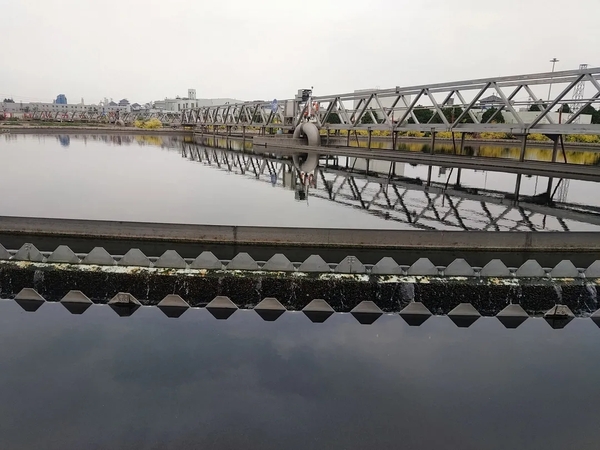 1626680617524.jpg 1.jpg