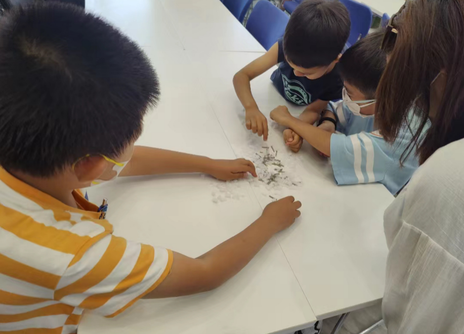 1717467139940.png 1717467139940.png